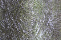 Ordale fibreglass roof work